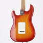 [SN US19055368] USED Fender / LTD American Professional Stratocaster Ash Roasted Maple Neck Aged Cherry Burst [09]