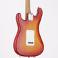 [SN US19055368] USED Fender / LTD American Professional Stratocaster Ash Roasted Maple Neck Aged Cherry Burst [09]