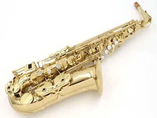 [SN A07709] USED SELMER / Alto saxophone AXOS Axos, lacquer finish, selected [20]