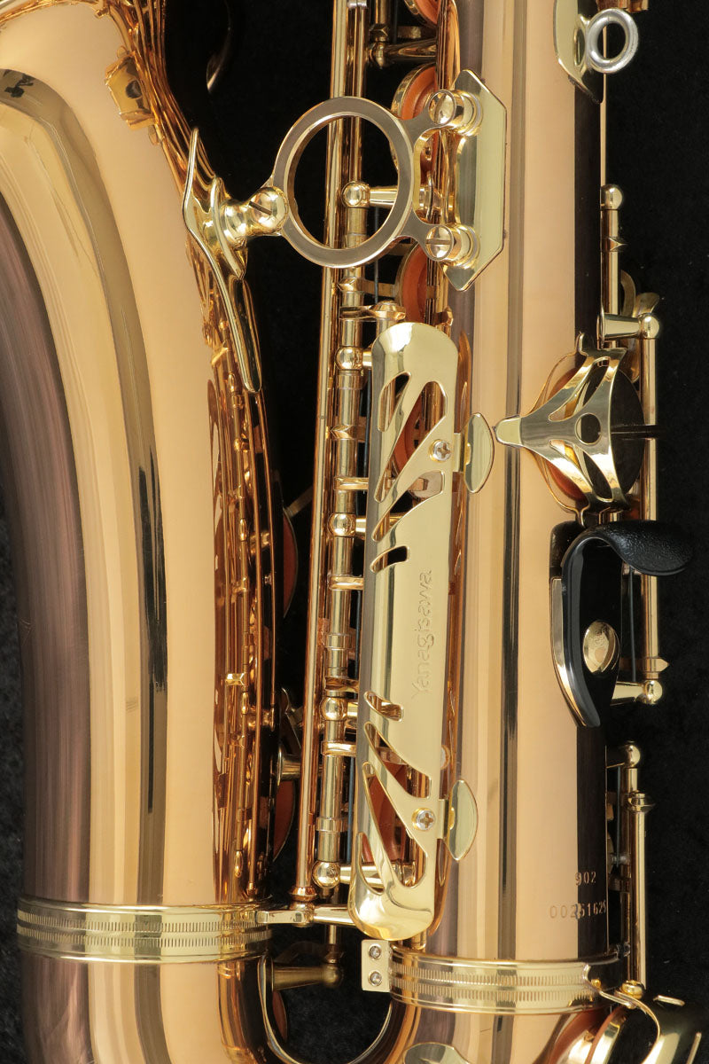 [SN 251625] USED Yanagisawa / Alto A-902 Alto Saxophone [09]