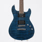 USED FERNANDES/BURNY / APG-55S / See-through Blue [3.24kg] FERNANDES/BURNY Sustainer [08]