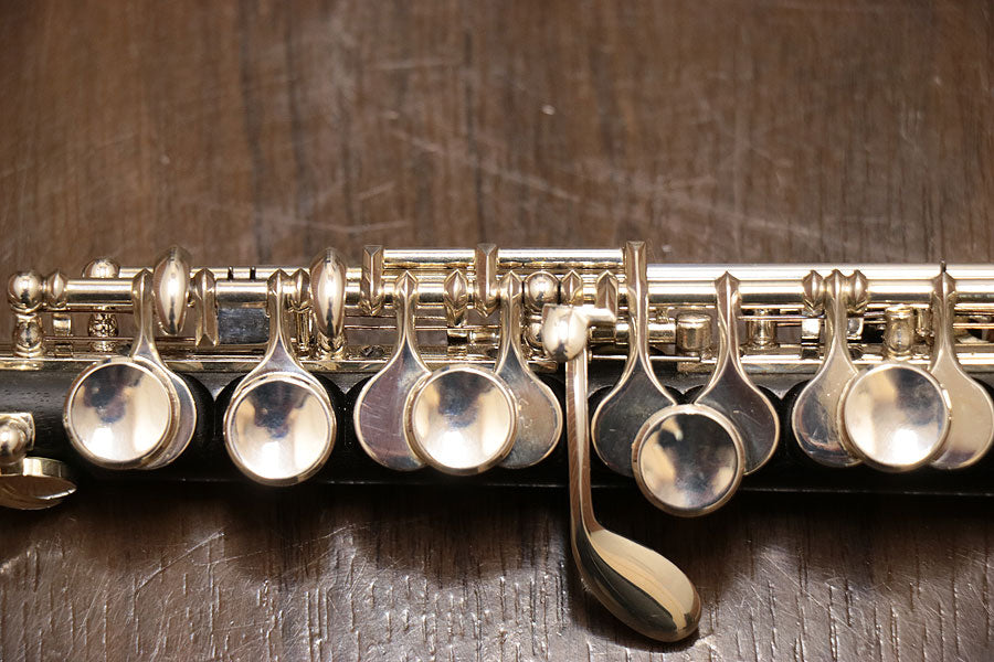 [SN 36052] USED Philip hammig 650/2LTD piccolo [10]