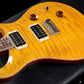 [SN 15 219561] USED Paul Reed Smith(PRS) / 30th Anniversary Custom 24 10TOP Pattern Reg Neck [3.58kg/2015] Paul Reed Smith [08]