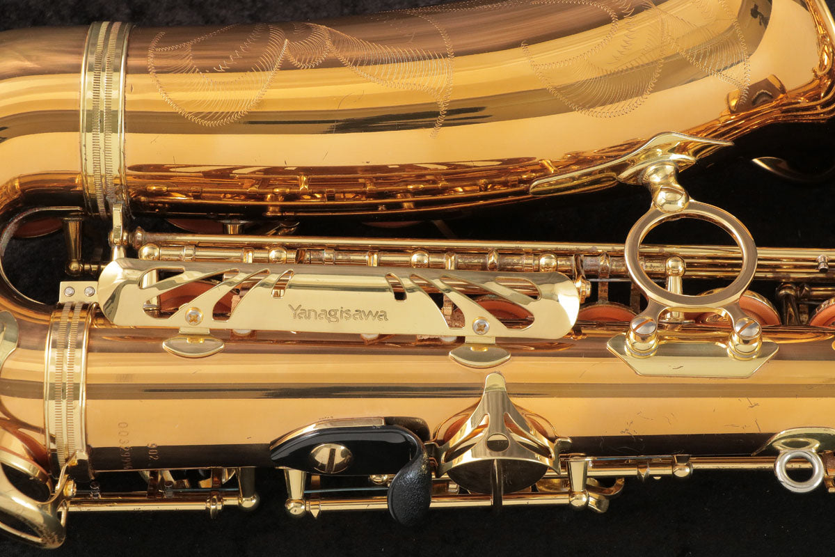 [SN 00329996] USED YANAGISAWA / Yanagisawa Yanagisawa / Alto A-902 Alto Saxophone [03]