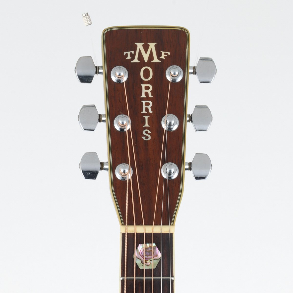 [SN 816410] USED Morris / W-80 Natural [11]