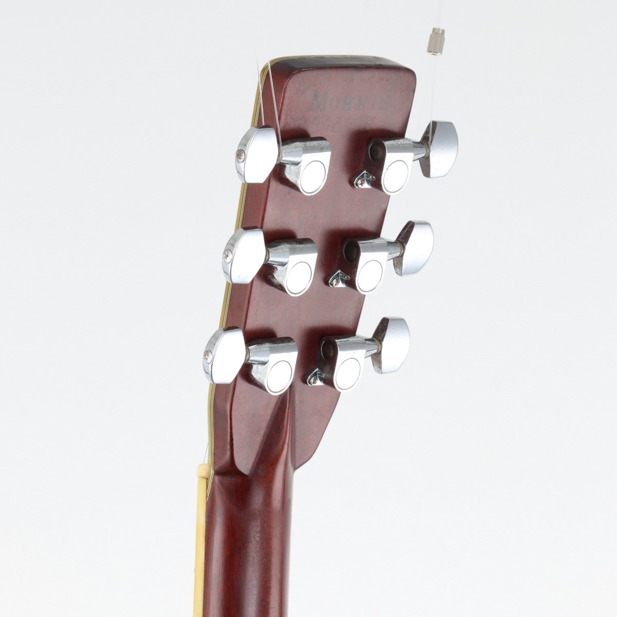 [SN 816410] USED Morris / W-80 Natural [11]