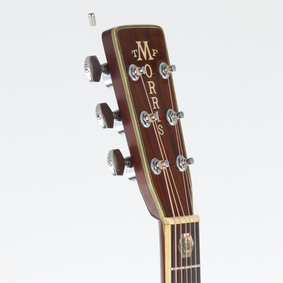 [SN 816410] USED Morris / W-80 Natural [11]