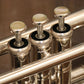 [SN 495361] USED YAMAHA / Yamaha YTR-8335RGS B flat trumpet [10]