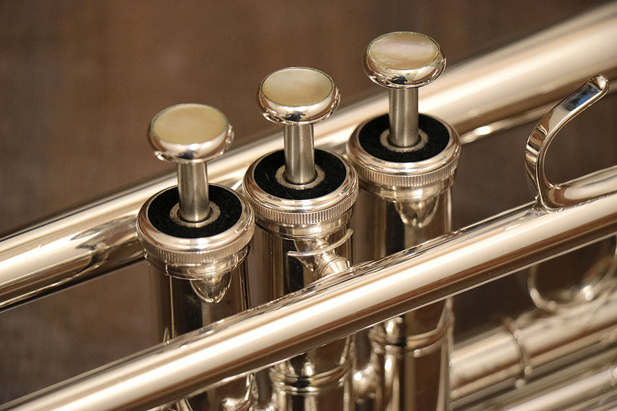 [SN 495361] USED YAMAHA / Yamaha YTR-8335RGS B flat trumpet [10]