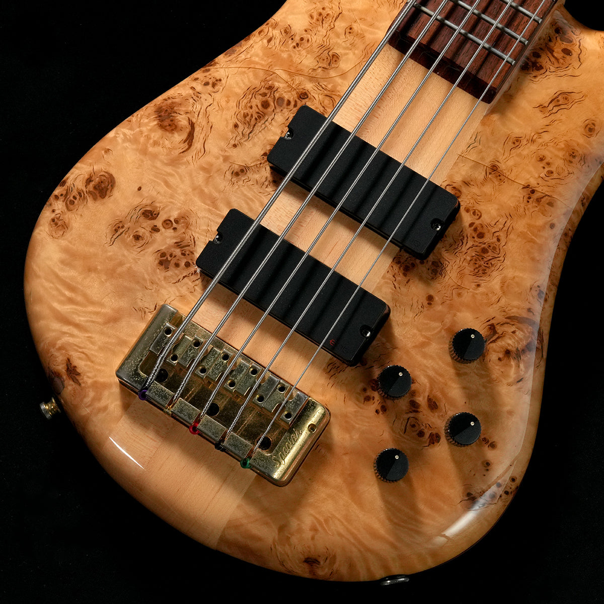 [SN NB8480] USED Spector / Euro LX5 Poplar Burl Natural Gloss [05]