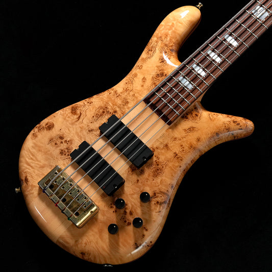 [SN NB8480] USED Spector / Euro LX5 Poplar Burl Natural Gloss [05]