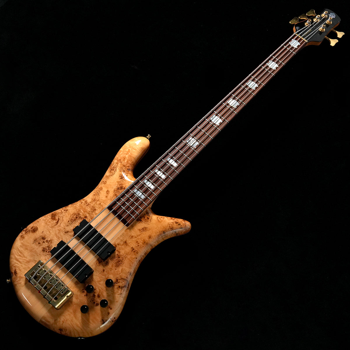 [SN NB8480] USED Spector / Euro LX5 Poplar Burl Natural Gloss [05]