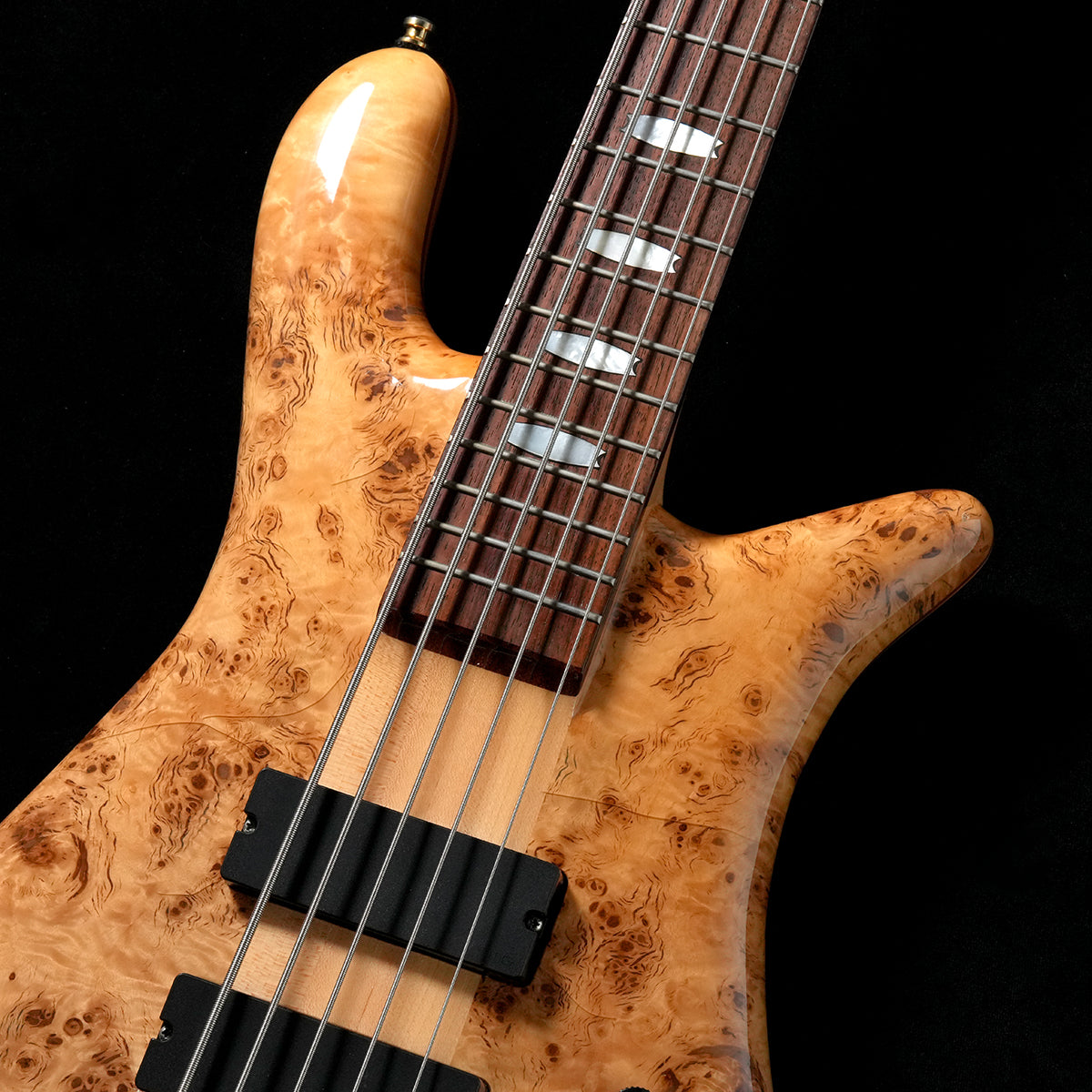 [SN NB8480] USED Spector / Euro LX5 Poplar Burl Natural Gloss [05]