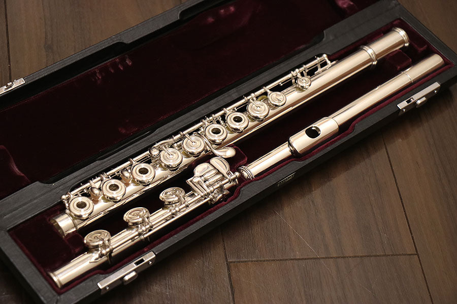 All Silver [Wind Instruments › Flute › All Silver]