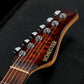 [SN 060809] USED SCHECTER / EX-III-CTM-VTR-CS UBB(Ultimate Brown Burst)/HR Shinji Shiotsuji Model [05]