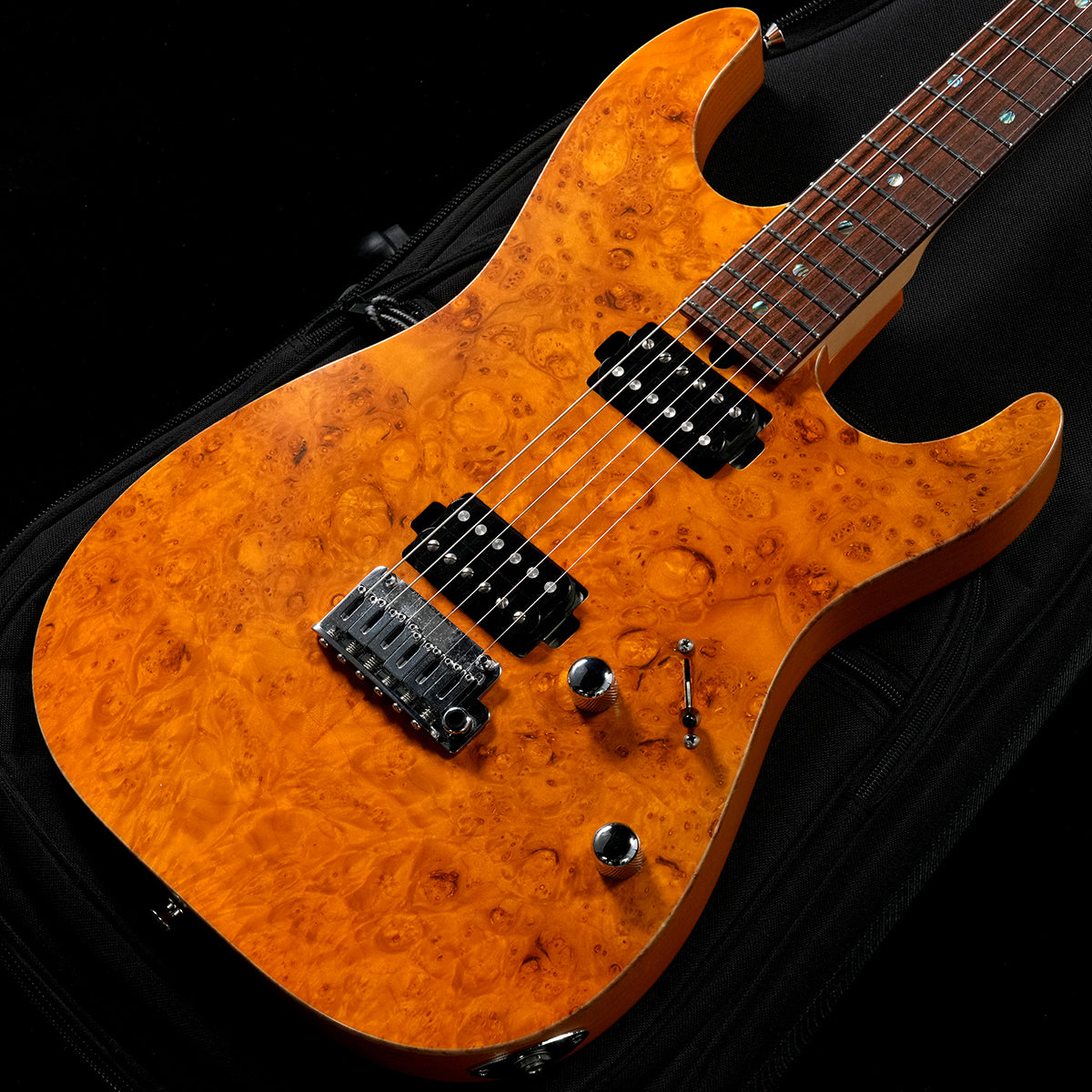 Soloist/Dinky type [Electric guitar › Soloist/Dinky type