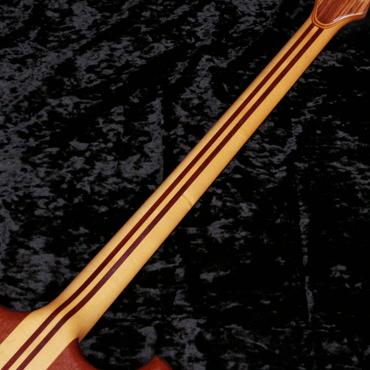[SN 81 0221] USED ALEMBIC / Distillate Bass Natural [06]