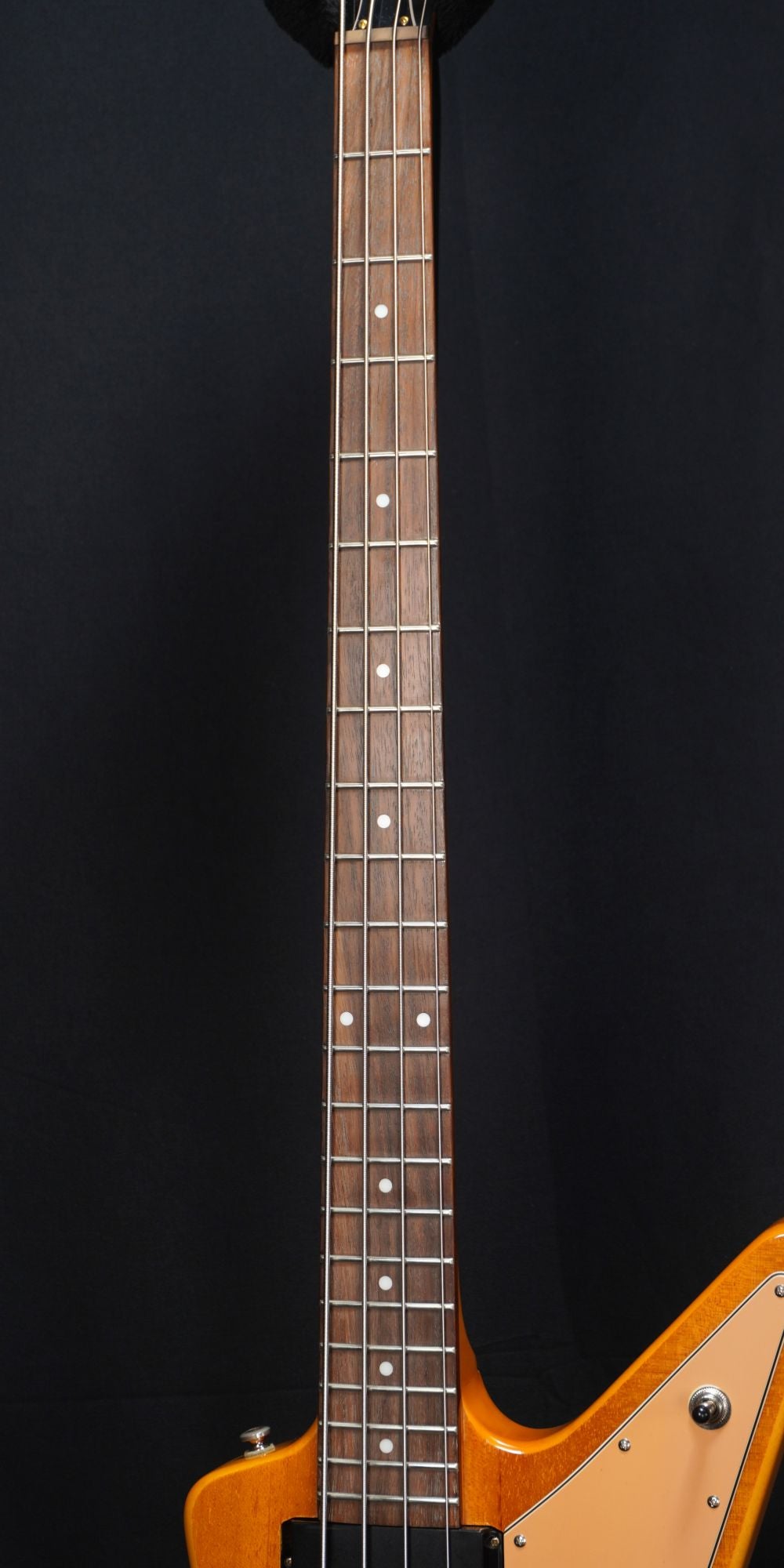 [SN 1003210243] USED Epiphone / Limited Edition Korina Explorer Bass Antique Natural -2010- [04]
