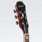 [SN 17022303955] USED EPIPHONE / Hummingbird PRO FC [12]