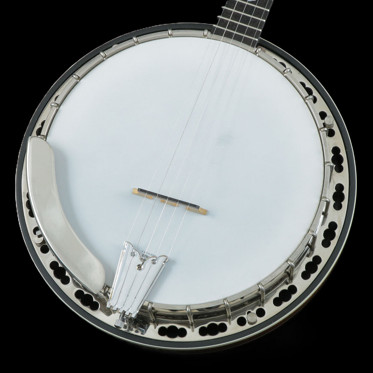 Banjo [acoustic and electric guitars › banjo]