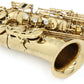 [SN A00742] USED SELMER / AXOS Alto Saxophone [09]