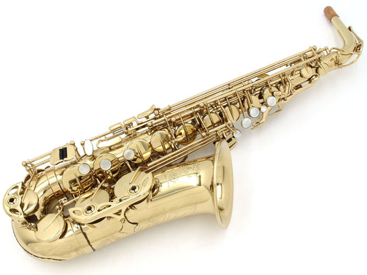 [SN A00742] USED SELMER / AXOS Alto Saxophone [09]