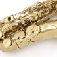 [SN A00742] USED SELMER / AXOS Alto Saxophone [09]