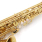 [SN 00367405] USED YANAGISAWA / Alto saxophone A-WO1 [20]