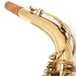 [SN 500975] USED JUPITER / AS-767 [11]