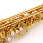 [SN 00346910] USED YANAGISAWA / Alto saxophone A-WO2 [09]