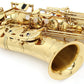 [SN 317260] USED YANAGISAWA / Alto saxophone A-901II [20]
