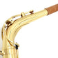 [SN 317260] USED YANAGISAWA / Alto saxophone A-901II [20]