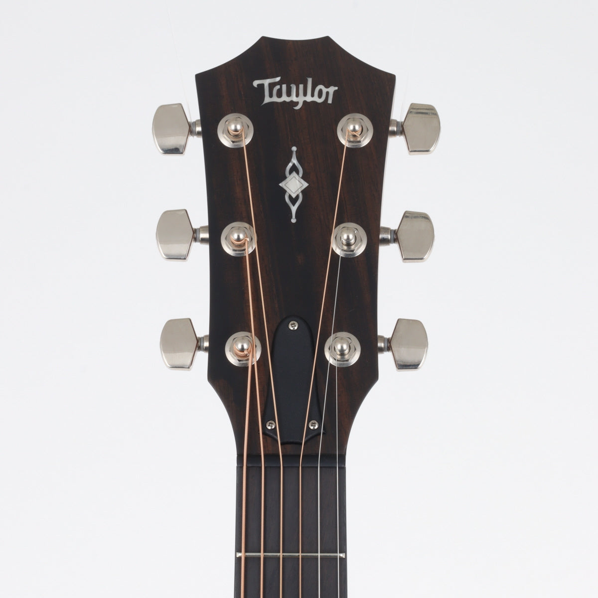 [SN 1102159043] USED Taylor Taylor / 317e V-CLASS [20]