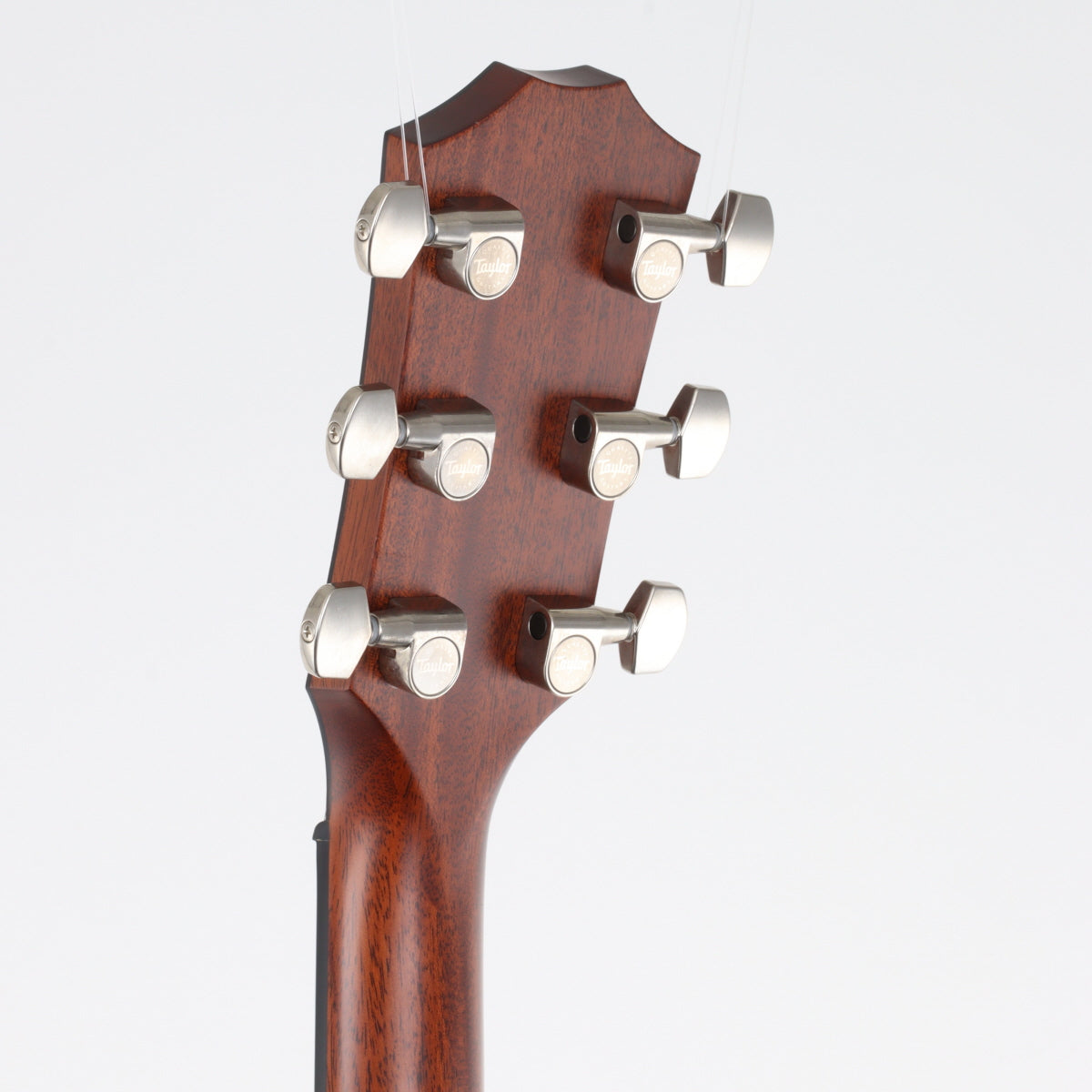 [SN 1102159043] USED Taylor Taylor / 317e V-CLASS [20]