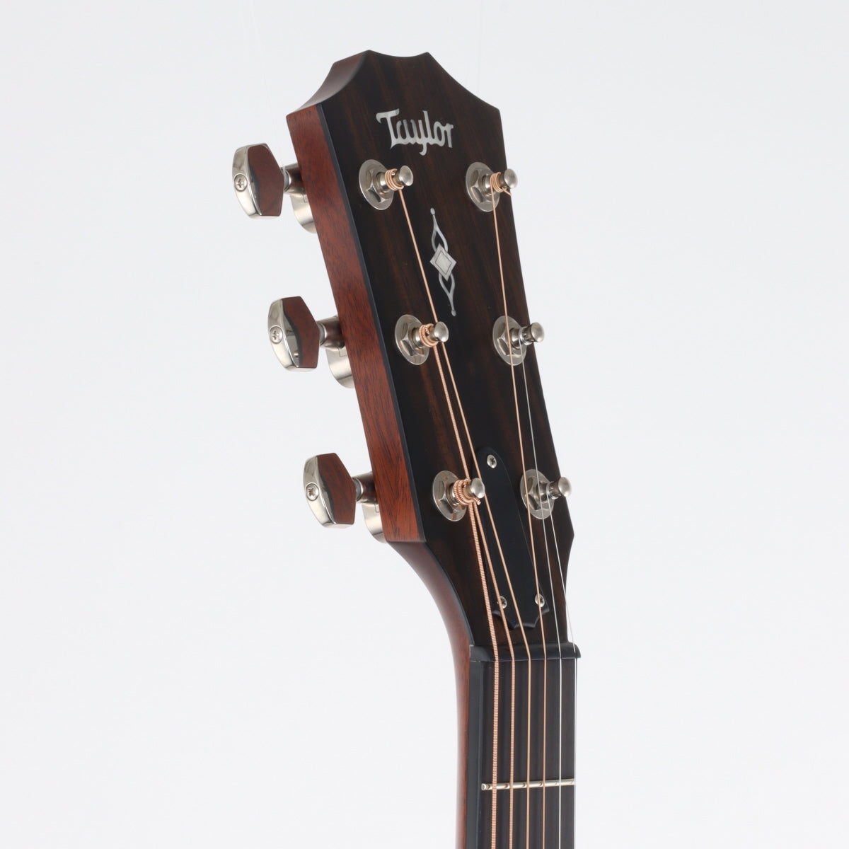 [SN 1102159043] USED Taylor Taylor / 317e V-CLASS [20]