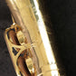 [SN 00146627] USED Yanagisawa Yanagisawa / Alto A-880 ELIMONA SN.00146xxx Alto Saxophone [03]