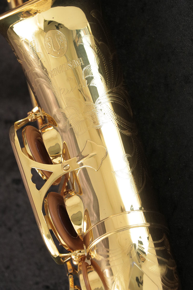 [SN 00146627] USED Yanagisawa Yanagisawa / Alto A-880 ELIMONA SN.00146xxx Alto Saxophone [03]