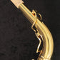 [SN 00146627] USED Yanagisawa Yanagisawa / Alto A-880 ELIMONA SN.00146xxx Alto Saxophone [03]