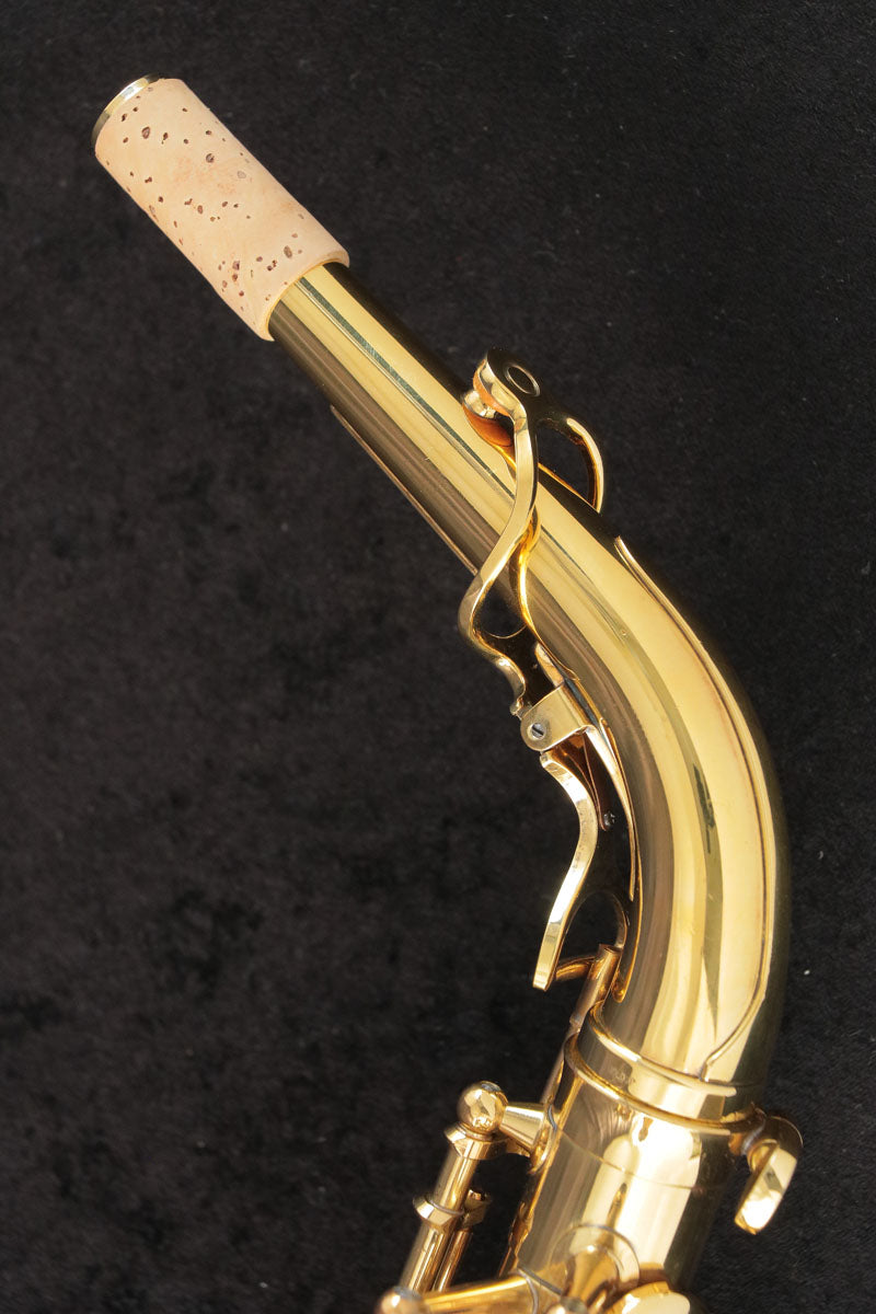 [SN 00146627] USED Yanagisawa Yanagisawa / Alto A-880 ELIMONA SN.00146xxx Alto Saxophone [03]
