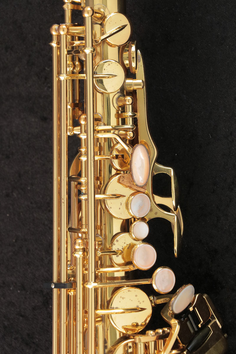 [SN 00146627] USED Yanagisawa Yanagisawa / Alto A-880 ELIMONA SN.00146xxx Alto Saxophone [03]