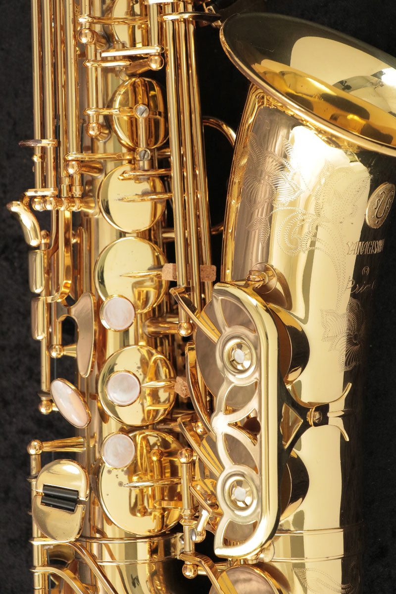 [SN 00146627] USED Yanagisawa Yanagisawa / Alto A-880 ELIMONA SN.00146xxx Alto Saxophone [03]