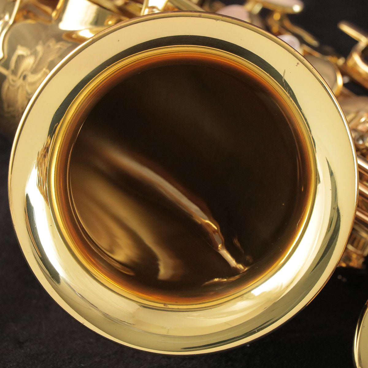 [SN 00146627] USED Yanagisawa Yanagisawa / Alto A-880 ELIMONA SN.00146xxx Alto Saxophone [03]
