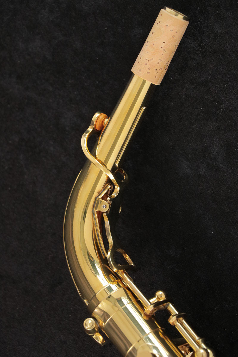 [SN 00146627] USED Yanagisawa Yanagisawa / Alto A-880 ELIMONA SN.00146xxx Alto Saxophone [03]