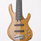 [SN 200509031] USED FIBENARE / GLOBE STANDARD 6 [06]