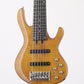 [SN 200509031] USED FIBENARE / GLOBE STANDARD 6 [06]