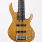 [SN 200509031] USED FIBENARE / GLOBE STANDARD 6 [06]