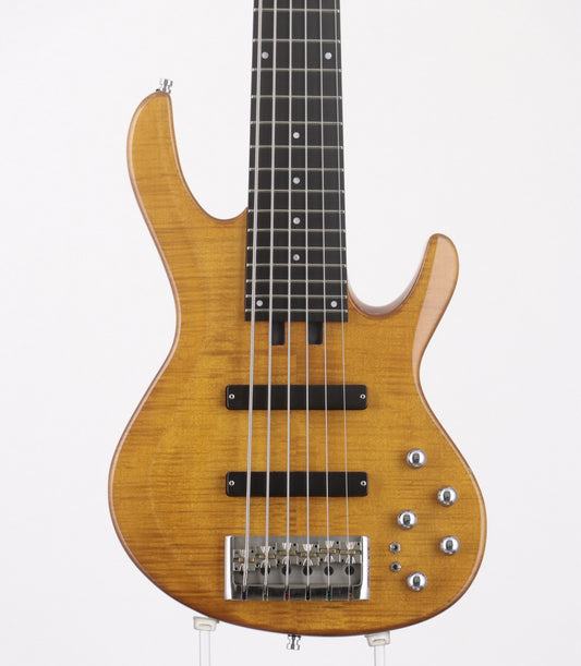 [SN 200509031] USED FIBENARE / GLOBE STANDARD 6 [06]