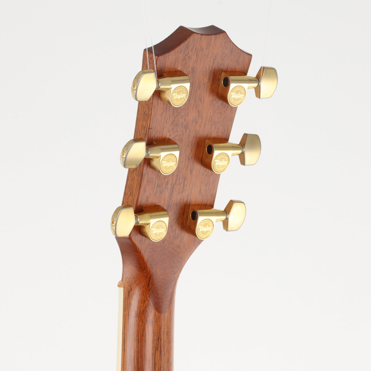 [SN 1106236116] USED Taylor Taylor / Japan Limited 314ce-Koa ES2 [20]