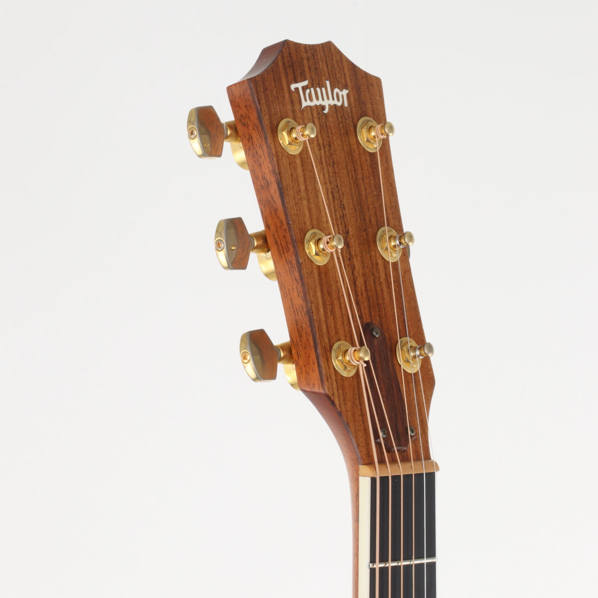 [SN 1106236116] USED Taylor Taylor / Japan Limited 314ce-Koa ES2 [20]