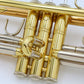 [SN 672378] USED BACH / 180ML37GB [11]
